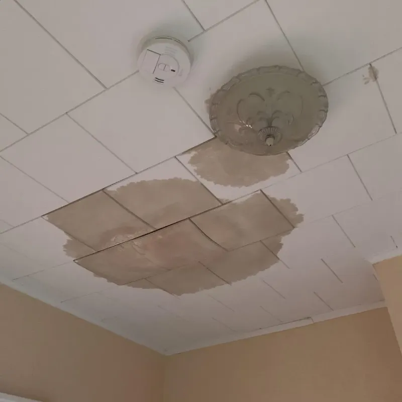 Ceiling Water Damage Repair in Frederick County, VA