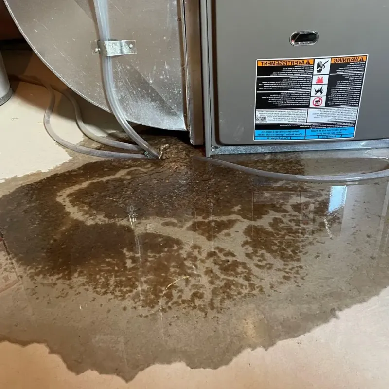 Pipe Burst and Leak Restoration in Frederick County, VA