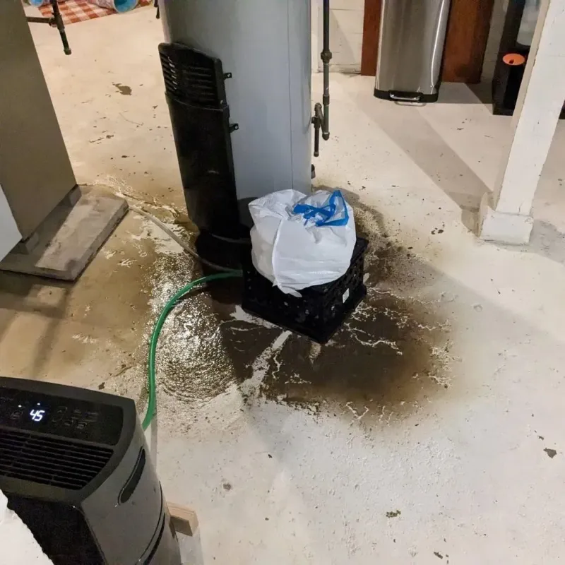 Sewage Backup Cleanup Service in Frederick County, VA